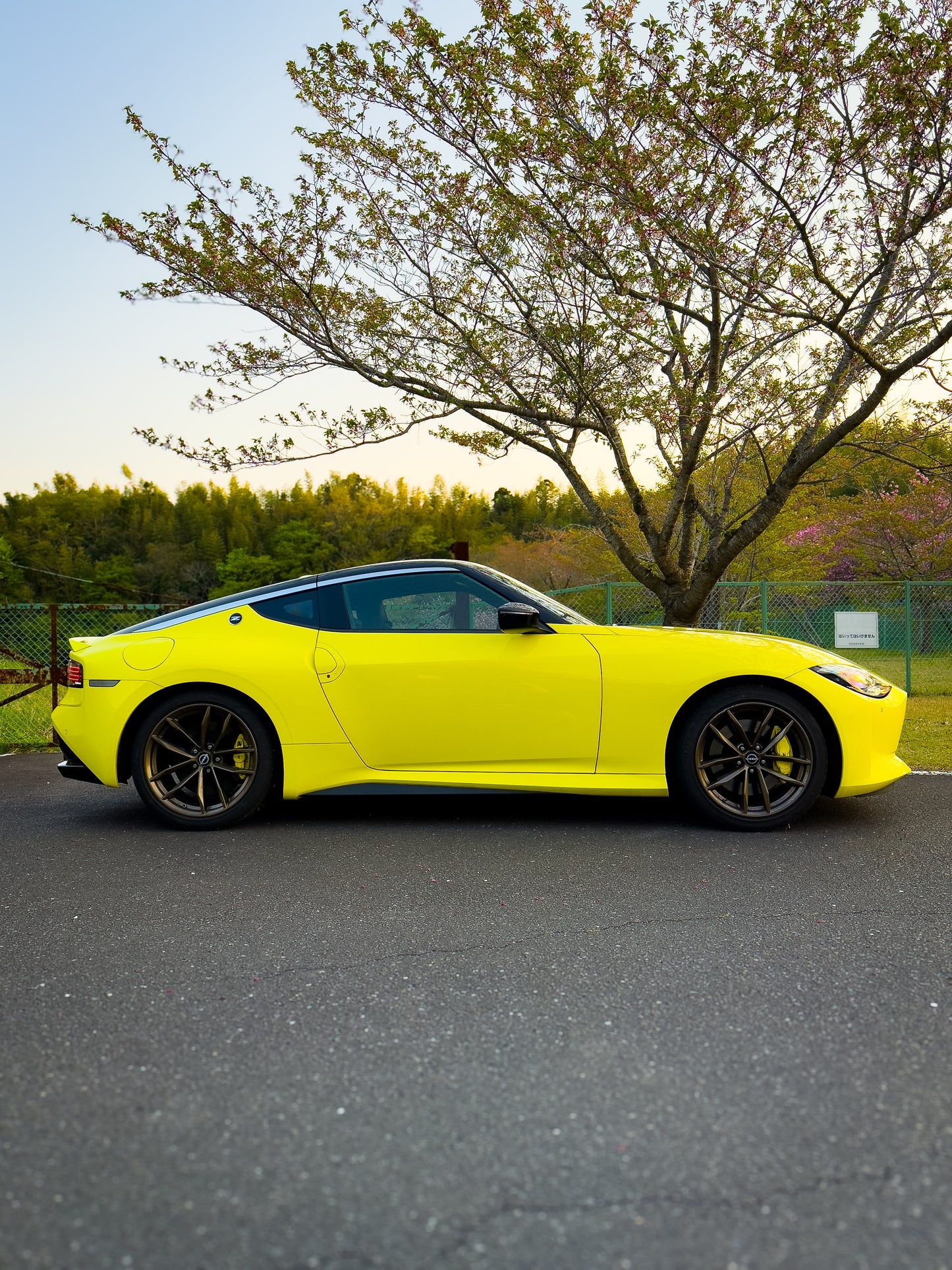 Nissan Fairlady Z RZ34 (400Z) Limited Edition