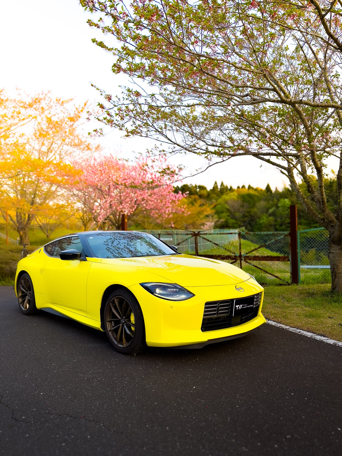 Nissan Fairlady Z RZ34 (400Z) Limited Edition