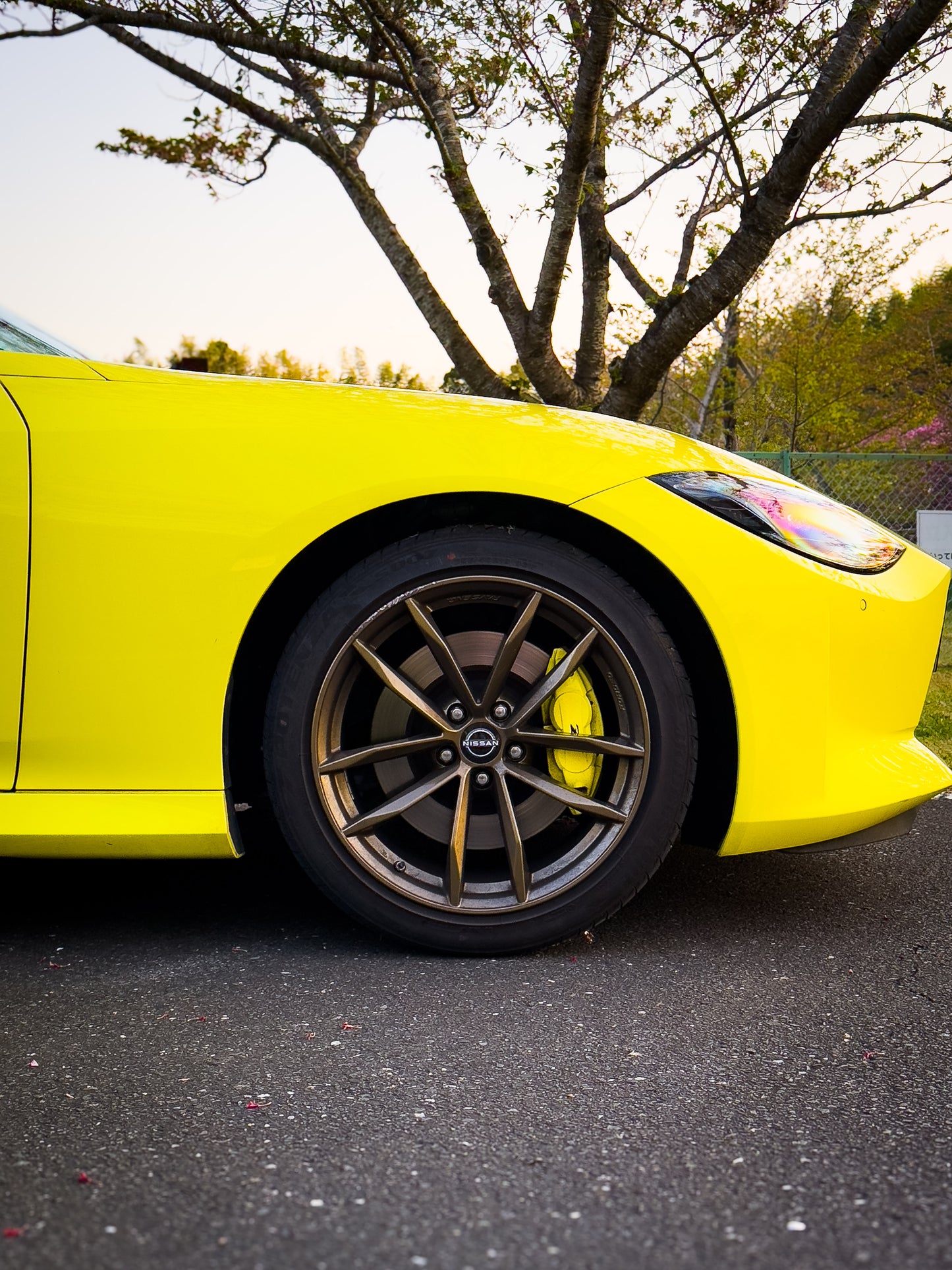 Nissan Fairlady Z RZ34 (400Z) Limited Edition