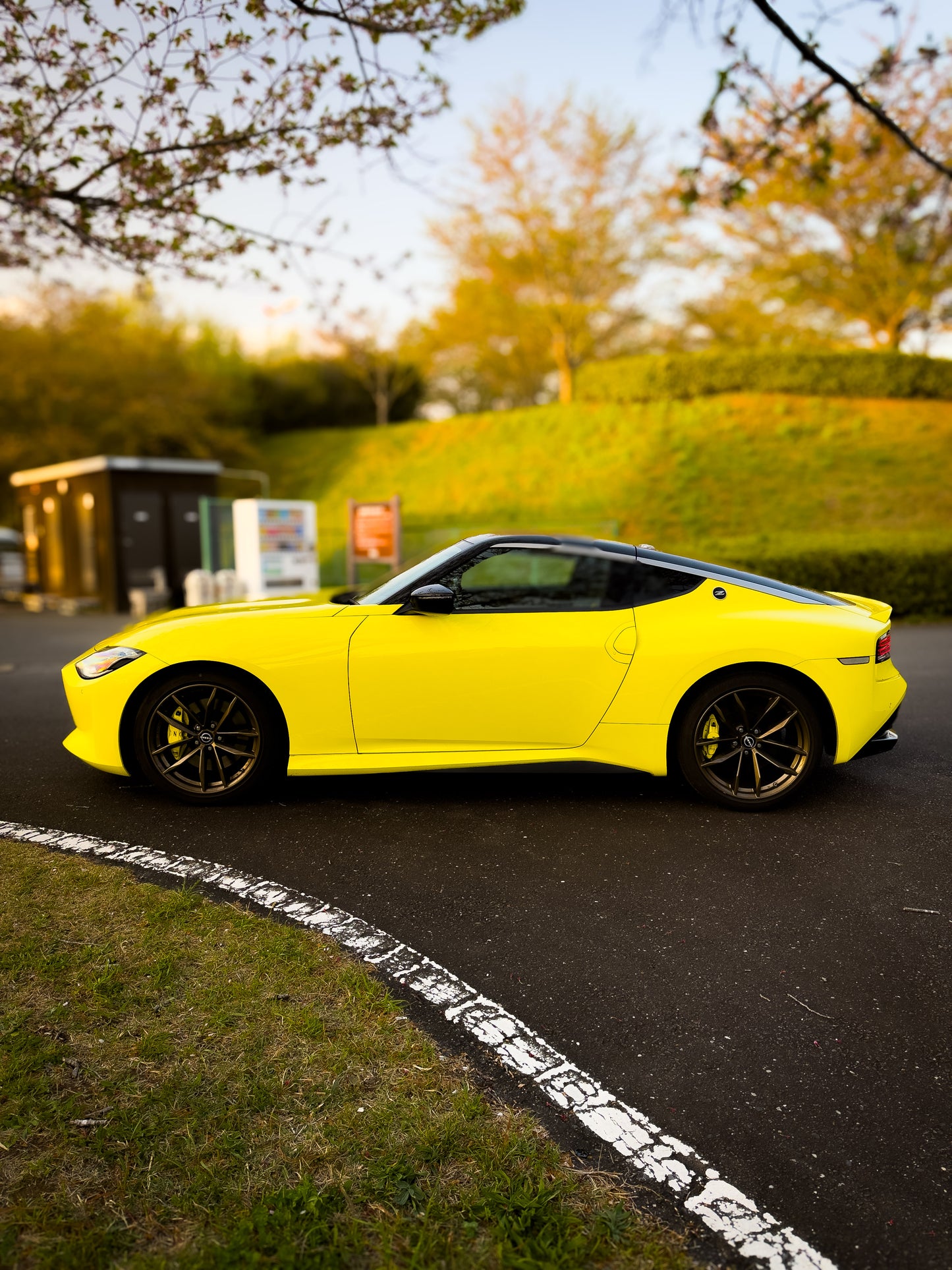 Nissan Fairlady Z RZ34 (400Z) Limited Edition