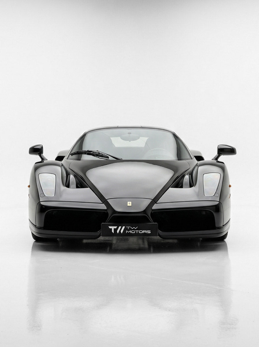 Ferrari Enzo 2004
